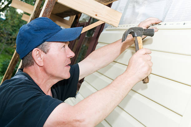 Best Fiber Cement Siding Installation  in Danville, IA