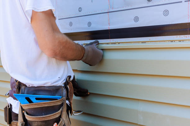 Best Fascia and Soffit Installation  in Danville, IA