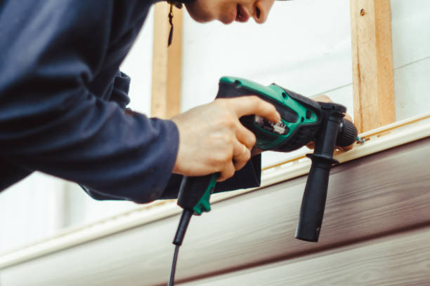 Best Siding Painting and Refinishing  in Danville, IA